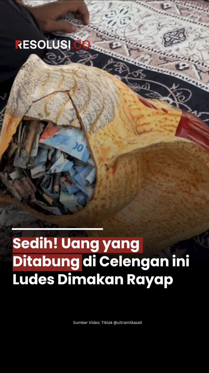 Uang Dimakan Rayap